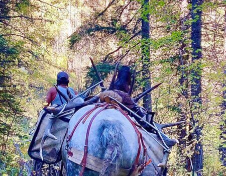 wta_2580_IMG_3426 (1)