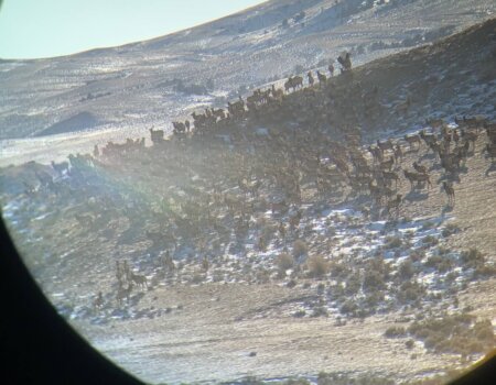 wta_2587_wta_2081_IMG_1830-rotated