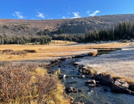 wta_2591_IMG_5198 (1)