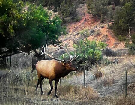 wta_2594_74763025156__E09754FB-27FE-4095-B538-44B63AA5CD0E