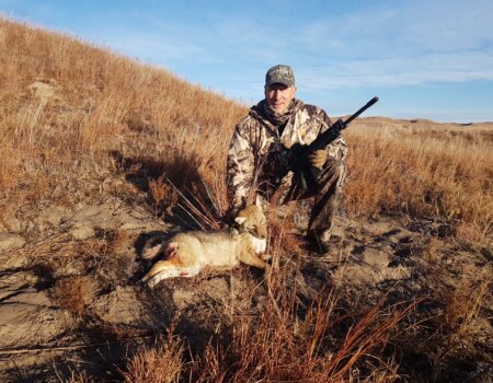 wta_2598_20171114_074245_Original