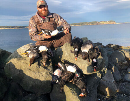 wta_2599_Rock Ducks