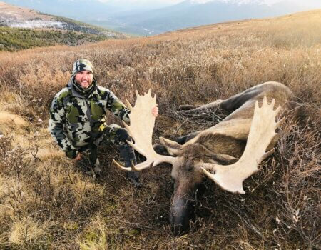 wta_2601_Skeena Moose