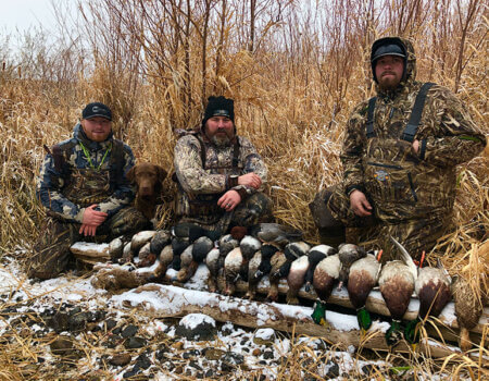 wta_2607_Morning Ducks