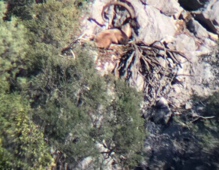 wta_2608_812e9de4-4a08-484d-87c0-eac656dcb8e7