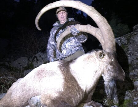 wta_2608_a7a670ac-6c42-43f6-8889-53b1c6247657