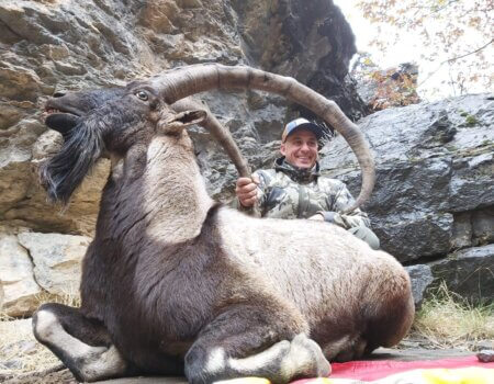 wta_2608_aa6069d8-9281-4a60-aeb5-8dc59cc5b660