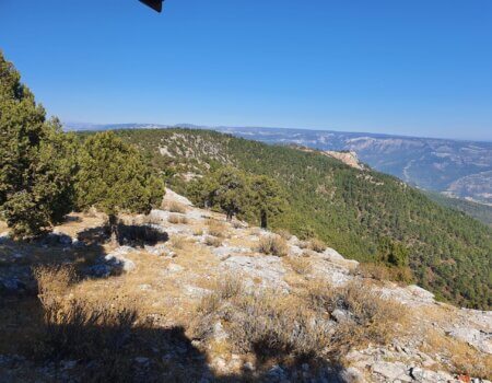 wta_2608_bd3c883b-0920-4929-af1e-7b7281d1395e