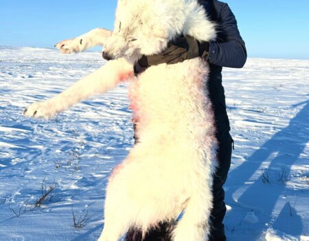 wta_2611_e4811915-0447-48c4-94af-9176ea7c9f89