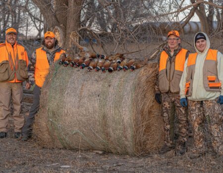 wta_2612_Pheasant Bail