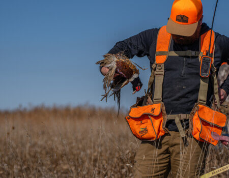 wta_2612_Pheasant Guide