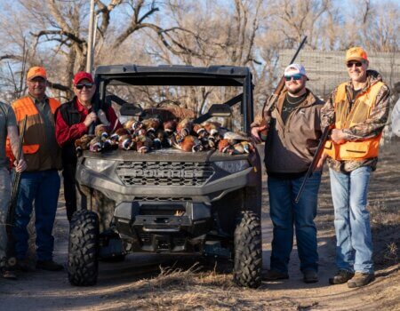 wta_2612_Pheasant PM