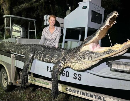 wta_2614_Gator 6