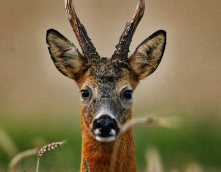 wta_2615_10af8bfc-4cf3-4e8f-abf6-378b9c7f88d2