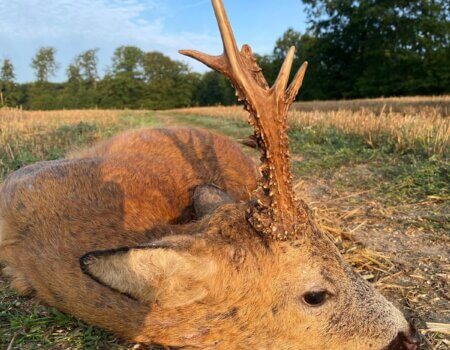 wta_2615_253d1927-457b-4583-932d-9c0f341c24d8