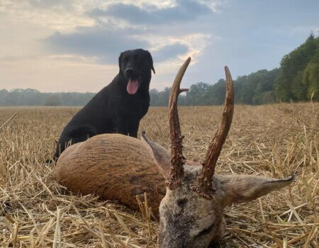 wta_2615_6fd0ba1e-1aae-4934-ae63-d3e34c07f33b