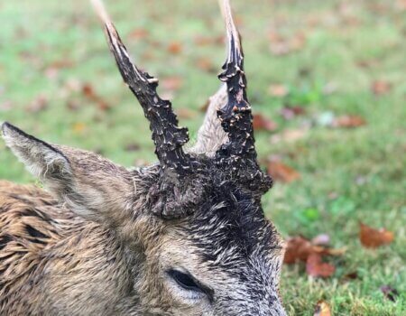 wta_2615_acdef912-40f5-48e3-b0be-78f477d0fb0f