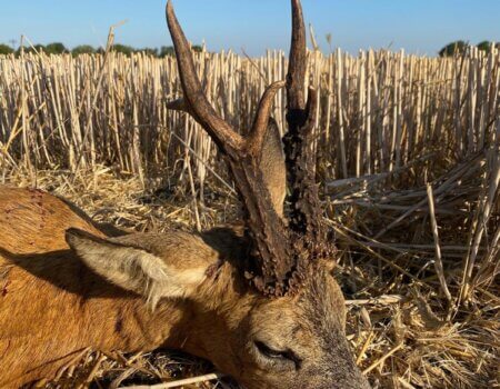 wta_2615_cc035135-9d84-415c-809c-6bbb11c17ce3