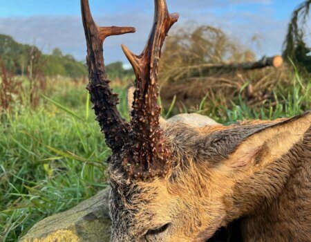 wta_2615_fcdc1848-85d0-49a9-be70-52ff896474f0