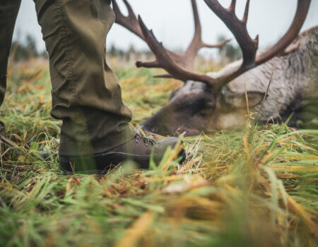 wta_2616_Finland Day 1-18