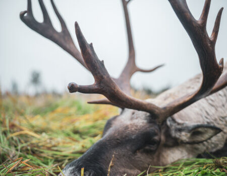 wta_2616_Finland Day 1-37