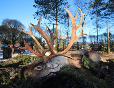 wta_2616_PHOTO-2024-07-29-16-00-34 3