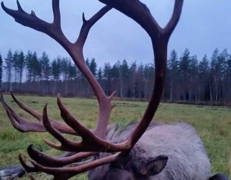 wta_2616_PHOTO-2024-07-29-16-00-34