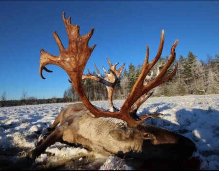 wta_2616_PHOTO-2024-07-29-16-02-10