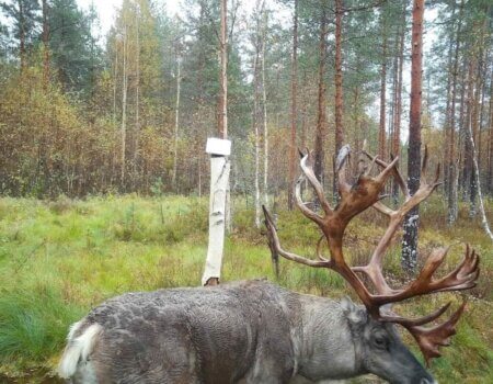 wta_2616_PHOTO-2024-10-01-13-20-31