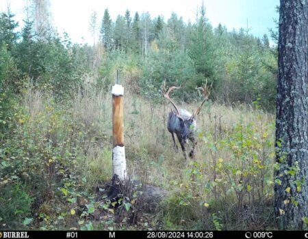 wta_2616_PHOTO-2024-10-01-16-22-20