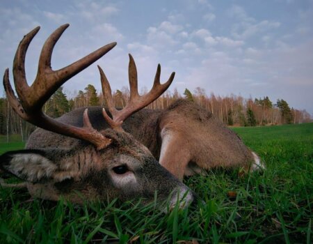 wta_2616_WhatsApp Image 2024-11-07 at 17.56.22