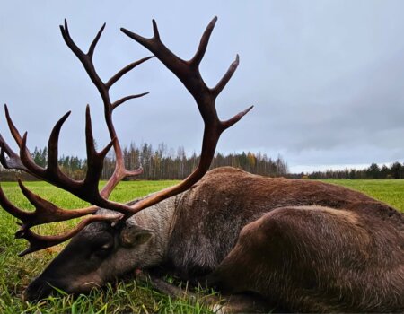 wta_2616_c5037a51-a19c-4f31-9e27-7281f4732819