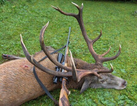 wta_2617_Michael 05 025