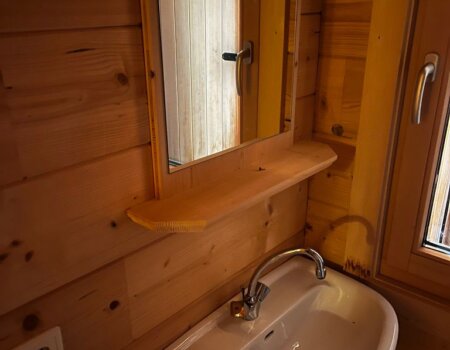 wta_2617_WhatsApp Image 2025-03-28 at 06.47.42 (1)