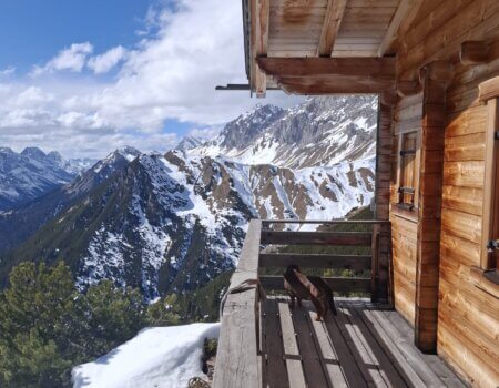 wta_2617_WhatsApp Image 2025-03-29 at 07.28.27