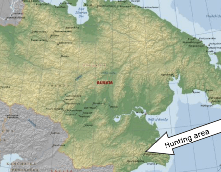 wta_2618_Screenshot 2025-03-28 at 15.48.25