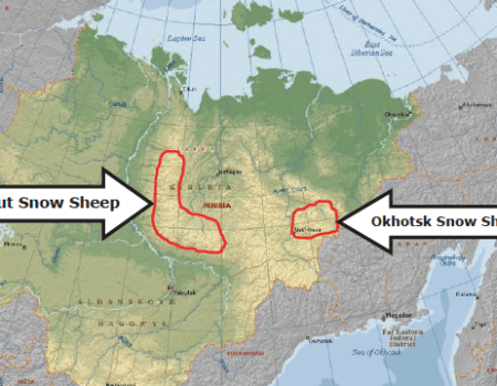 wta_2622_Screenshot 2025-03-28 at 16.38.07