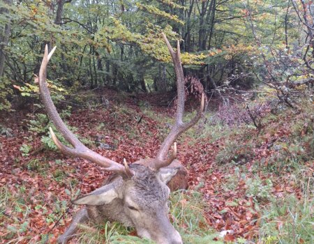 wta_2623_45fb1c09-5677-45ee-88fc-289260b3792e