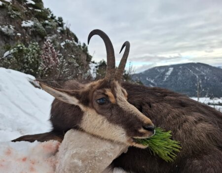 wta_2623_59065575-a945-46bb-b67a-1b59370c645f