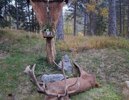 wta_2623_b95adc1a-abb7-41c3-ad29-e6fe0bb306a6