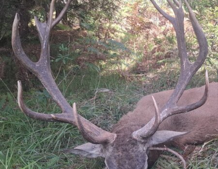 wta_2623_dad1f409-7c77-493c-9890-147d02896ebc