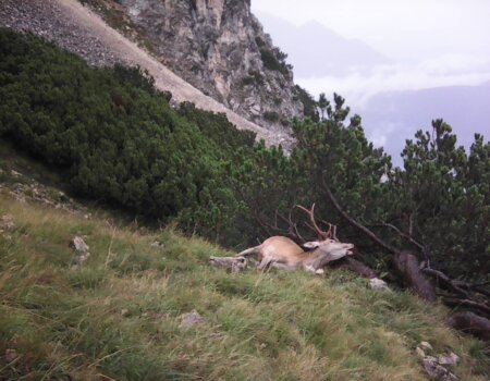 wta_2623_fe6b558f-da36-4465-8ffc-830e8e11f19c