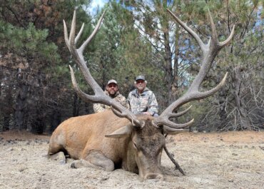Once-in-a-Lifetime Adventure in Argentina: Dove Hunting, Big Game, and Stunning Scenery