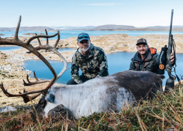 Chasing the Greenland Caribou: New Species, New Adventure