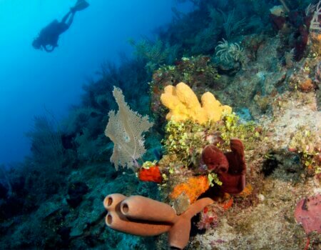 wta_2625_0396DA68-7391-40E3-97A9-6751516ADE59_1_105_c