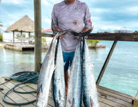 wta_2625_0E6DB43B-4107-4957-9C01-0A3AE0075244_1_105_c