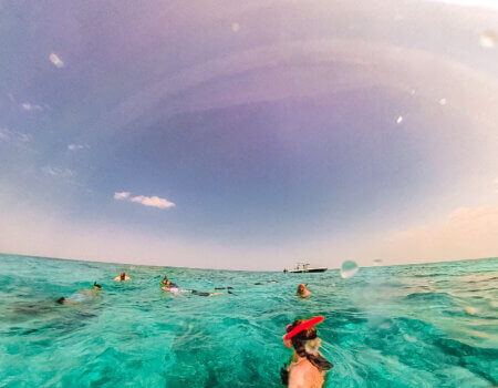 wta_2625_2FEC86C8-3DC7-462B-BD02-18B37E9A5820