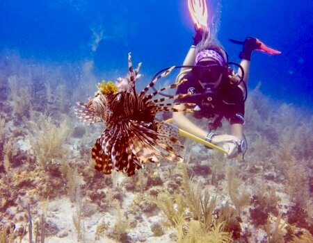 wta_2625_3727B4DB-A14C-4936-8BC0-3147F56156BC_1_105_c