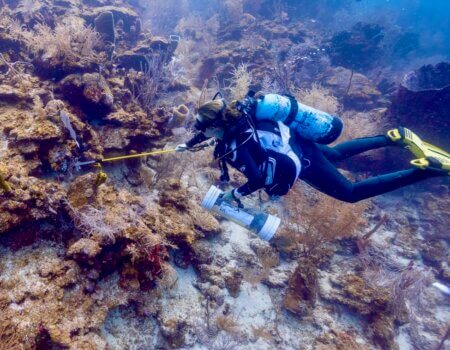 wta_2625_64324703-BB36-49EA-9DE5-A0F70465723F_1_105_c