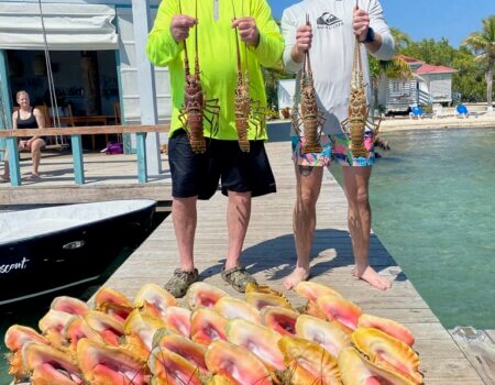 wta_2625_6B051A61-166E-4FA1-972A-8A27CD4AF21E_1_105_c